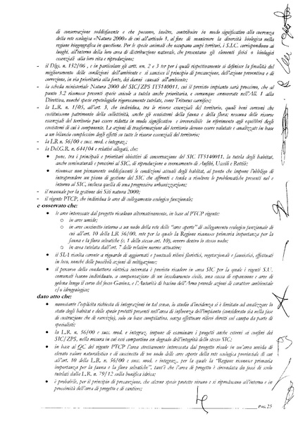 File:2014-02-28 prov-fi verbale-cds.pdf