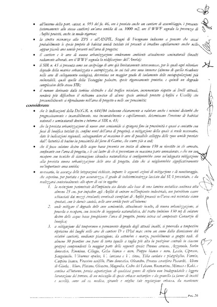 File:2014-02-28 prov-fi verbale-cds.pdf