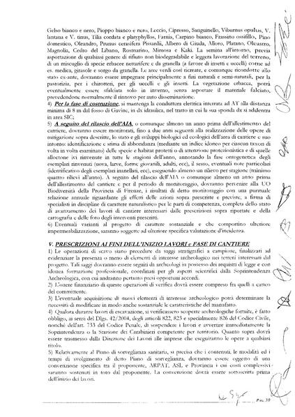File:2014-04-08 cds-inceneritore verbale.pdf