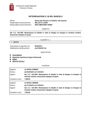 ← pagina precedente