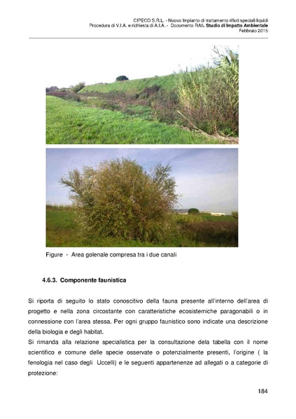 File:2015-03-06 sia-impianto-rifiuti-liquidi-capalle.pdf