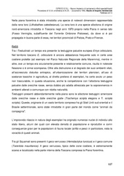 pagina seguente →