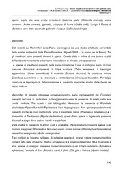 pagina seguente →