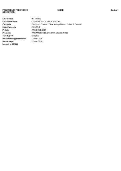 File:2016-04-28 bilancio prospetto-siope.pdf