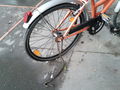 Bike-sharing-bici-danneggiate.jpg