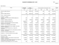 Bilancio-pluriennale-2013-2015.pdf