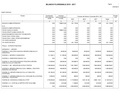 Bilancio-pluriennale-2015-2017.pdf