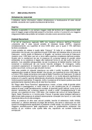 pagina seguente →